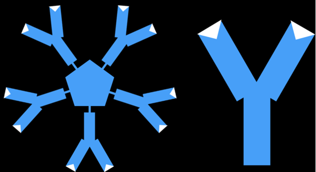 pdl4